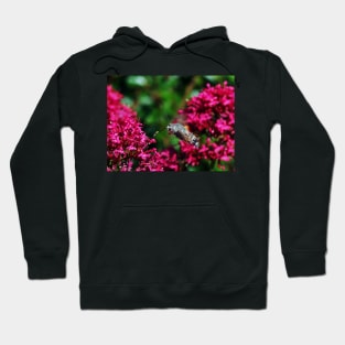 THE PANASONIC FZ 200 PAR OKAIO CREATION Hoodie